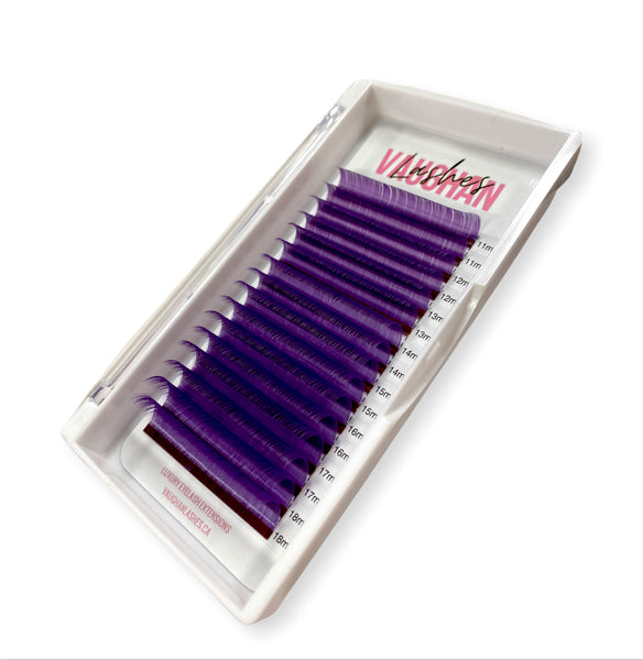 RAINBOW LASH TRAYS